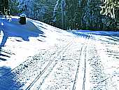 Langlaufloipen:
Zum vergrößern klicken